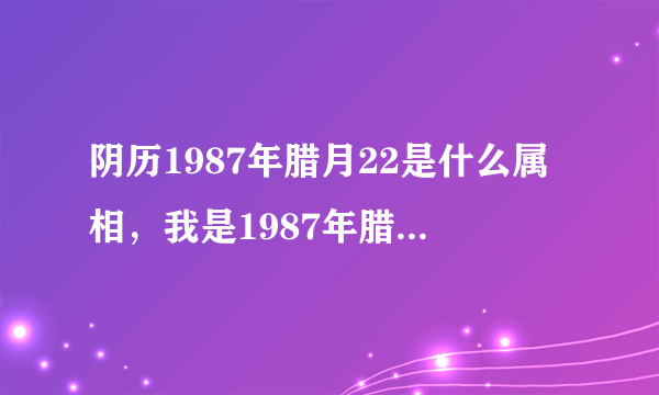 阴历1987年腊月22是什么属相，我是1987年腊月22日,我是属兔还