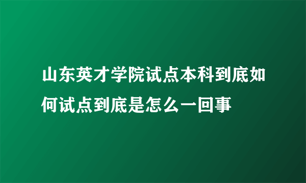 山东英才学院试点本科到底如何试点到底是怎么一回事