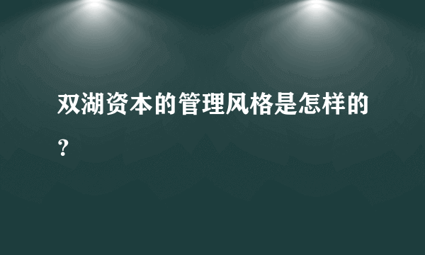 双湖资本的管理风格是怎样的？