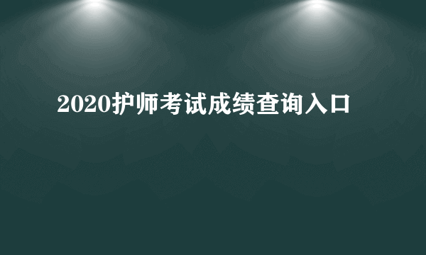 2020护师考试成绩查询入口