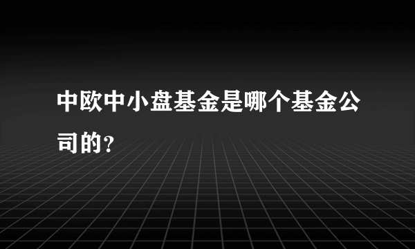 中欧中小盘基金是哪个基金公司的？