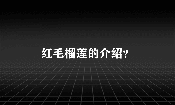 红毛榴莲的介绍？