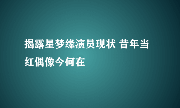 揭露星梦缘演员现状 昔年当红偶像今何在