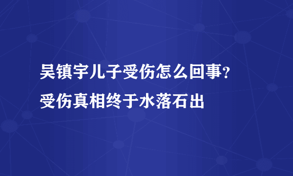 吴镇宇儿子受伤怎么回事？ 受伤真相终于水落石出