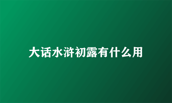 大话水浒初露有什么用