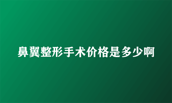 鼻翼整形手术价格是多少啊