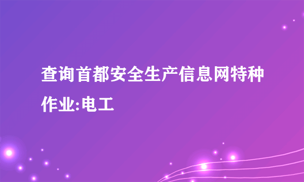 查询首都安全生产信息网特种作业:电工