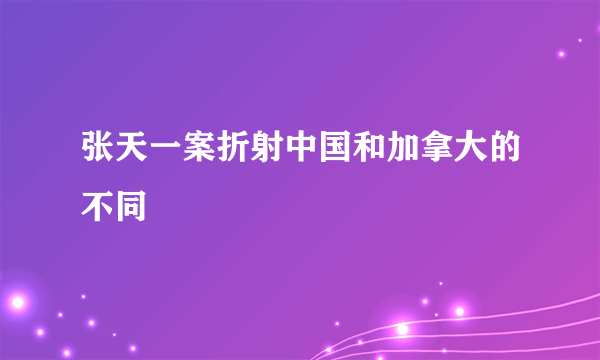 张天一案折射中国和加拿大的不同