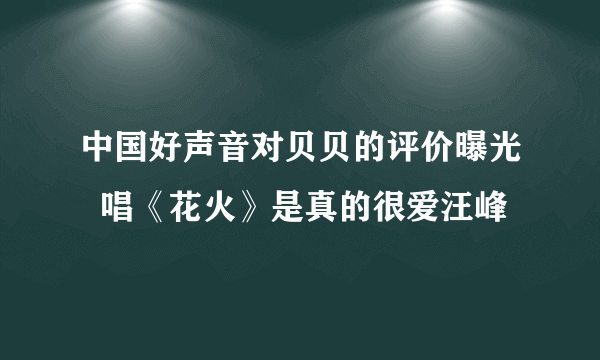 中国好声音对贝贝的评价曝光  唱《花火》是真的很爱汪峰