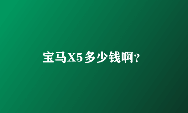 宝马X5多少钱啊？