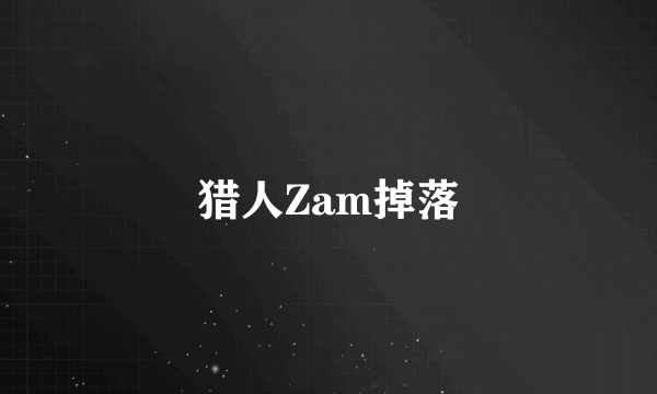 猎人Zam掉落