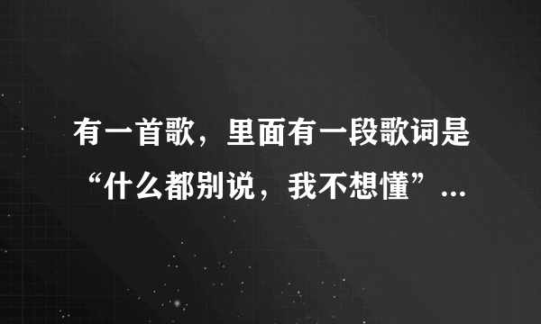 有一首歌，里面有一段歌词是“什么都别说，我不想懂”这是什么歌