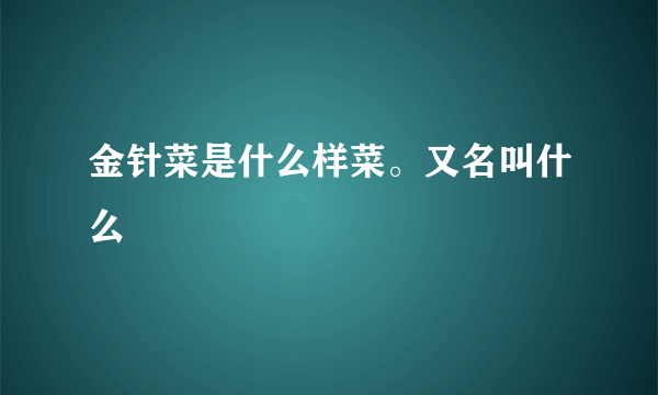 金针菜是什么样菜。又名叫什么