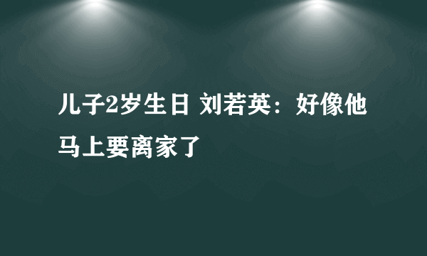 儿子2岁生日 刘若英：好像他马上要离家了