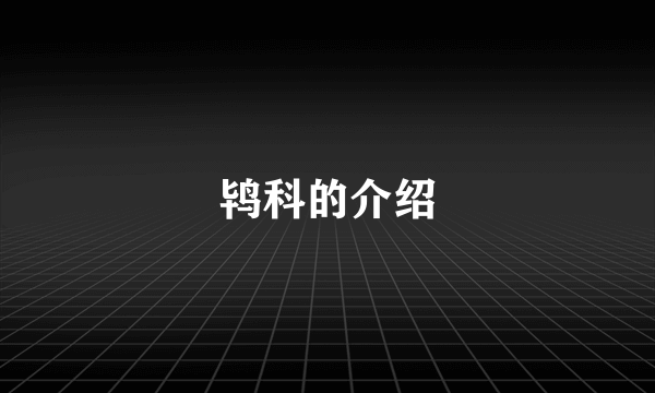 鸨科的介绍