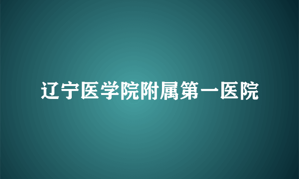 辽宁医学院附属第一医院