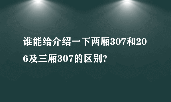 谁能给介绍一下两厢307和206及三厢307的区别?