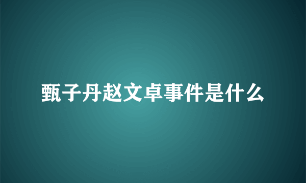 甄子丹赵文卓事件是什么