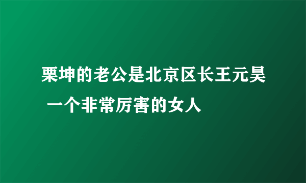 栗坤的老公是北京区长王元昊 一个非常厉害的女人