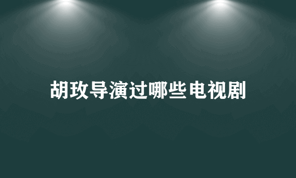 胡玫导演过哪些电视剧