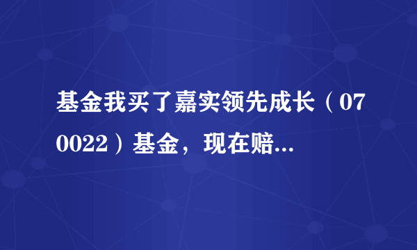 基金我买了嘉实领先成长（070022）基金，现在赔了21.17%，请问应该是继续持有还是赎回？