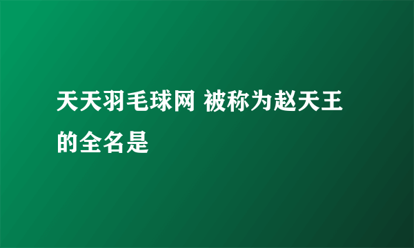 天天羽毛球网 被称为赵天王的全名是