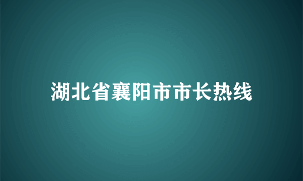 湖北省襄阳市市长热线