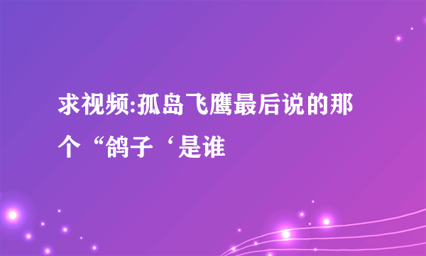 求视频:孤岛飞鹰最后说的那个“鸽子‘是谁