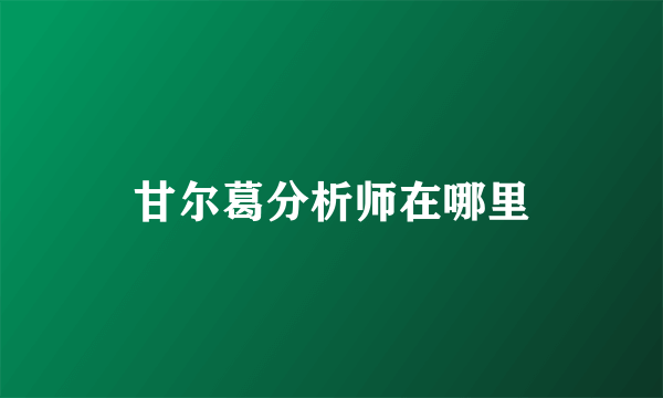 甘尔葛分析师在哪里