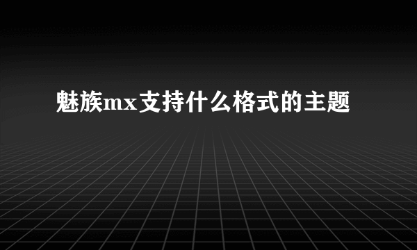 魅族mx支持什么格式的主题