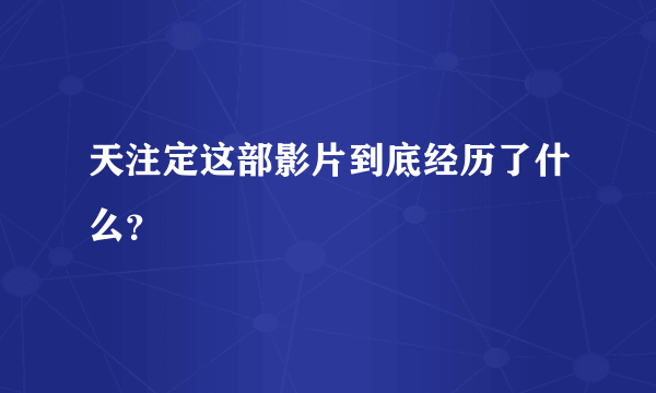 天注定这部影片到底经历了什么？