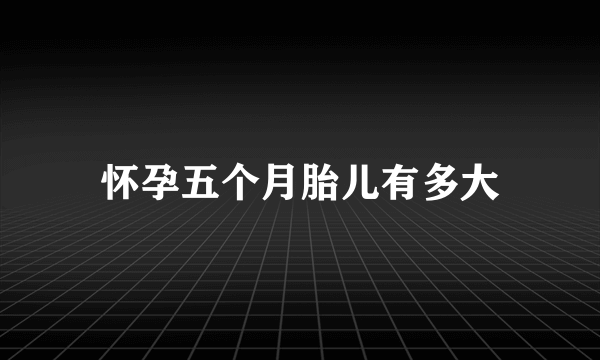 怀孕五个月胎儿有多大