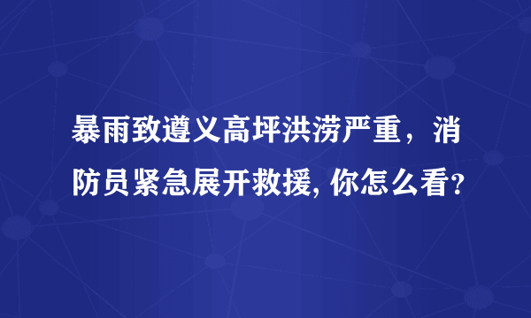 暴雨致遵义高坪洪涝严重，消防员紧急展开救援, 你怎么看？