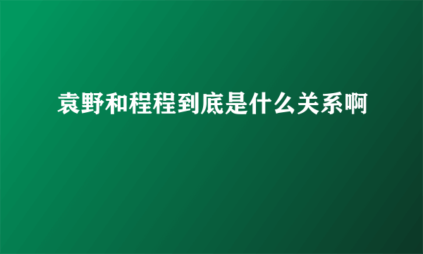 袁野和程程到底是什么关系啊