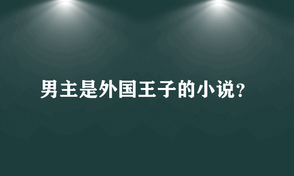 男主是外国王子的小说？