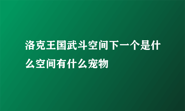 洛克王国武斗空间下一个是什么空间有什么宠物