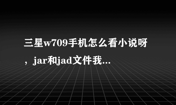 三星w709手机怎么看小说呀，jar和jad文件我都有，但是安装完小说之后发现没有翻页的按钮，要怎么看呀