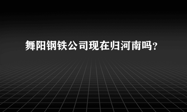 舞阳钢铁公司现在归河南吗？