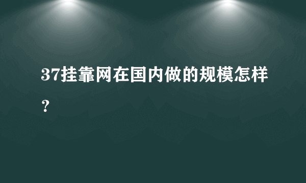 37挂靠网在国内做的规模怎样？