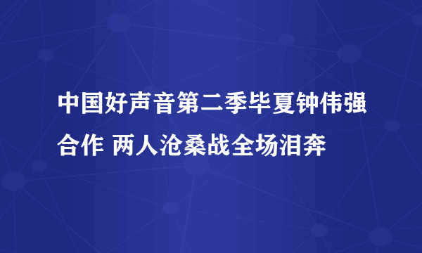 中国好声音第二季毕夏钟伟强合作 两人沧桑战全场泪奔