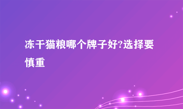 冻干猫粮哪个牌子好?选择要慎重