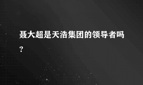 聂大超是天浩集团的领导者吗？