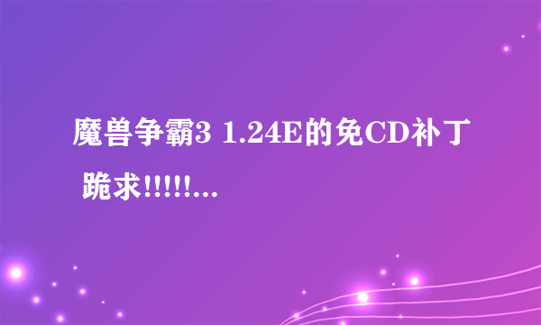 魔兽争霸3 1.24E的免CD补丁 跪求!!!!!!!!!!