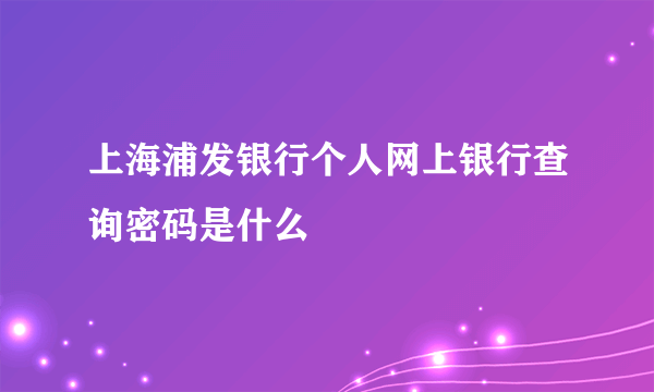 上海浦发银行个人网上银行查询密码是什么