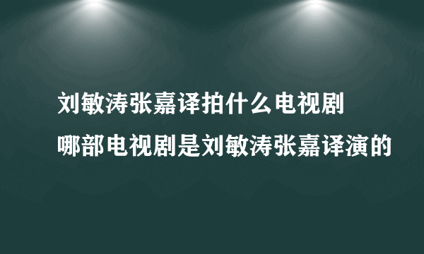 刘敏涛张嘉译拍什么电视剧 哪部电视剧是刘敏涛张嘉译演的