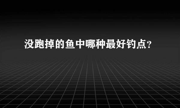 没跑掉的鱼中哪种最好钓点？