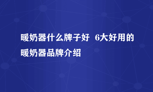 暖奶器什么牌子好  6大好用的暖奶器品牌介绍