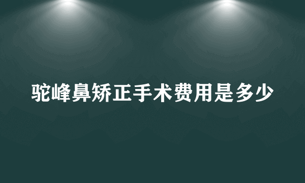 驼峰鼻矫正手术费用是多少