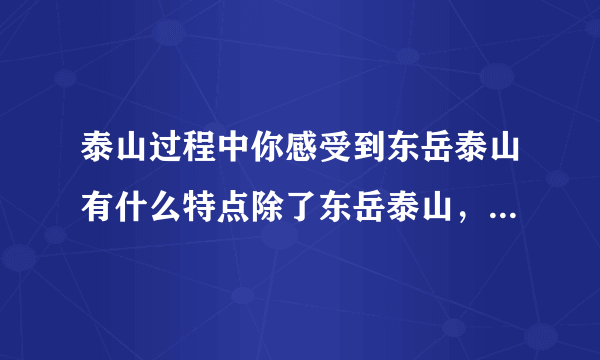 泰山过程中你感受到东岳泰山有什么特点除了东岳泰山，你还知道其它几岳分别是哪些山吗？