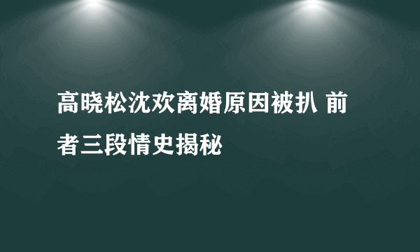 高晓松沈欢离婚原因被扒 前者三段情史揭秘